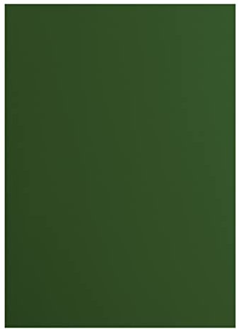 Vaessen Creative 2927-078 Florence Cardstock Papier, Grün, 216 Gramm/m², DIN A4, 10 Stück, Glatt, für Scrapbooking, Kartenherstellung, Stanzen und andere Papierbasteleien