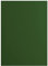 Vaessen Creative 2927-078 Florence Cardstock Papier, Grün, 216 Gramm/m², DIN A4, 10 Stück, Glatt, für Scrapbooking, Kartenherstellung, Stanzen und andere Papierbasteleien