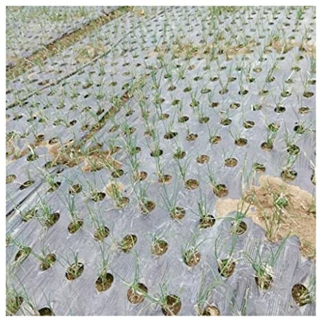 EVANEM Geprägte Kunststofffolie mit Pflanzlöchern, 10m Schwarz 5-Loch Mulchfolie PE Kunststoff Mulch 0,02mm Landwirtschaftliche Pflanzen Abdeckfolie Frostschutz Warmhalten Unkrautbekämpfung