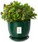 botle Keramiktopf Pflanztopf Blumenchale Übertopf Pflanzkübel handbemalt D 215 mm grün Keramik inkl. Untersetzer Wasserablaufloch