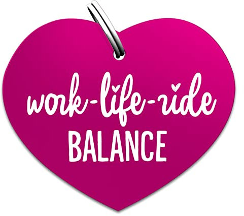 Soulhorse Marke Pferd Pony Hunde Glücksmarke Pferdemarke Gücksbringer Schutzengel Sattel Herz Trense Zaumzeug Vorderzeug Schlüsselanhänger Talisman für Tiere und Menschen Work Life Ride Balance, pink