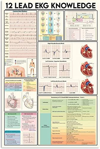 12 Read Ekg Knowledge Wandkunst Dekor Metallschild Poster 20,3 x 30,5 cm