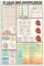 12 Read Ekg Knowledge Wandkunst Dekor Metallschild Poster 20,3 x 30,5 cm