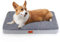 CALIYO Orthopädisches Hundebett Kleine Hunde 76x51x7.6cm, Flauschig Hundekissen Hundebett Waschbar, Unterseite Atmungsaktiv Haustierbett Dog Bed Hundematratze