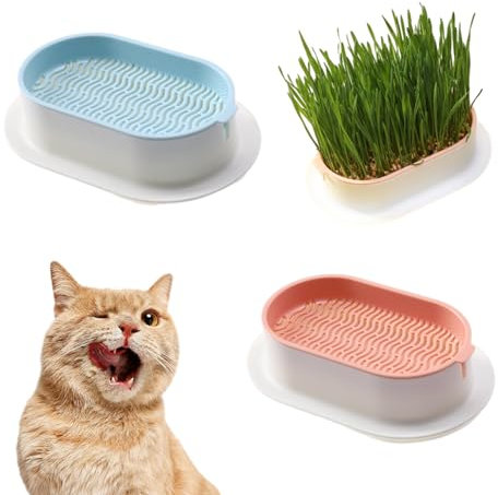 Confezione da 2 ciotole per piante per erba gatta, senza semi inclusi, Vassoio di germinazione per coltivazione indoor o outdoor 7,44x4,84x1,77 pollic per giardino, casa e ufficio, erba gatta