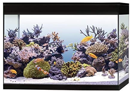 Askoll Aa350078 Aquarium Pure Marine High Cube Marino Komplettset, XXL, schwarz