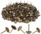 300 Pièces Clous Tapissier Robuste 11x17mm Bronze Rétro Vintage Clous décoratifs Antiques pour Ameublement Meubles Canapés Fauteuils Lits Chaises DIY Punaise