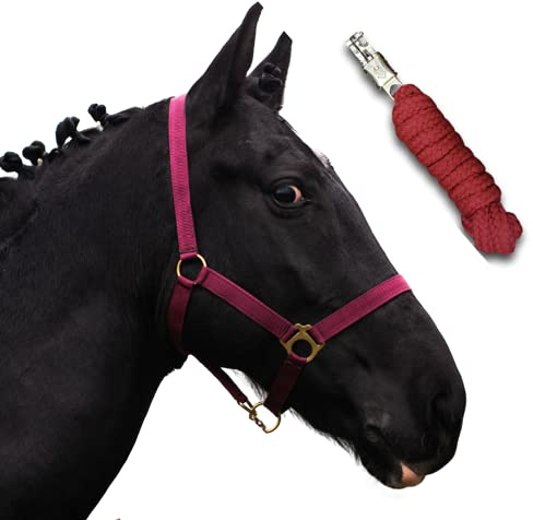 Halfter für Pferde mit Strick | Führstrick Pferd mit Halfter | Halfter Shetty, Pony, Vollblut, Full, X-Full mit Strick (Bordeaux, Pony)