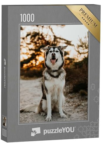 puzzleYOU: Puzzle 1000 Teile „Husky Golden Retriever Mix“ – aus der Puzzle-Kollektion Hunde, Huskys, Tiere des Nordens