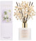 COCORRÍNA Raumduft Reed Diffuser mit 8 Duftstäbchen 200ml, Jasmine & Mint, Natürlich, Langanhaltend, Home Duft ätherisches Öl Reed Diffusor für Badezimmer Regal Dekoration