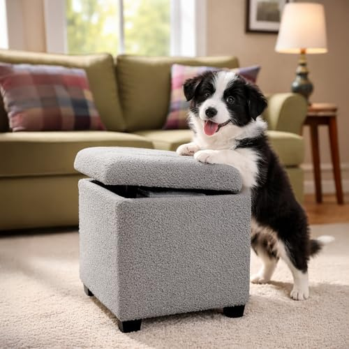 Froppi Foot Stool, Ottoman Storage Box, 45x45x41 cm, 47L (Cloudy Grey) | Pre-Assembled, Removable Feet, Large Capacity, Sturdy Frame, Memory Foam Seat, Living Room, Footstool