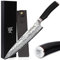 YOUSUNLONG Couteaux de chef japonais Gyuto 10 pouces Pro martelé en acier damas manche en bois de plomb naturel avec gaine en cuir