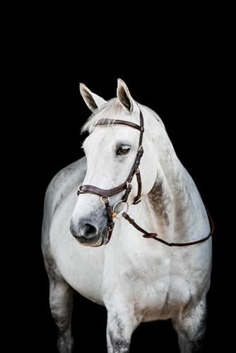Horseware HW Micklem2 Multi Bridle, Warmblut, Dark Havanna