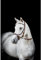 Horseware HW Micklem2 Multi Bridle, Warmblut, Dark Havanna