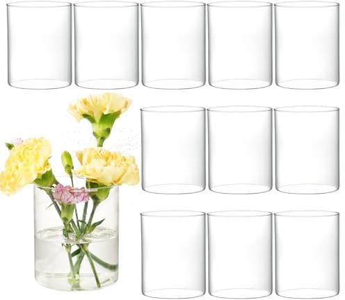 12 Stück Vasen 10 cm Glasvasen Zylinder Vasen Glas Blumenvasen Zylindervase für Tischdeko, Kerzen, Hochzeiten