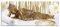 Pixxprint Glasbild Panorama, Wandbild aus Echtglas, goldener Buddha auf Handtuch, 100x40 cm, inkl. Aufhängung und Abstandshalter