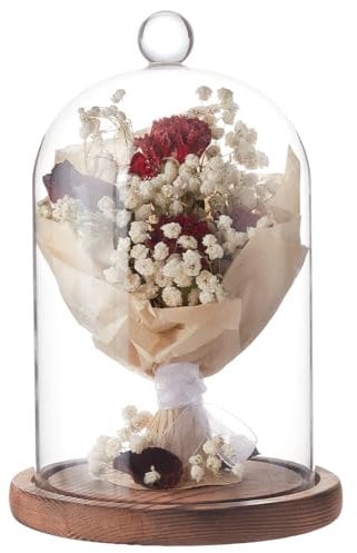BENECREAT Cloche à Dôme en Verre de 18x12 cm avec Base en Bois, Cloche Rustique en Verre Transparent pour Plantes, Présentoir pour Pots, Guirlandes Lumineuses Ou Décoration de Table