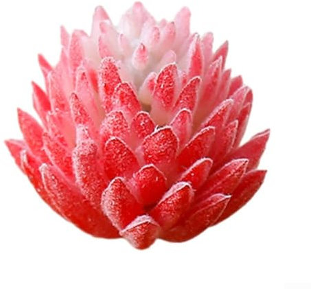 Honseadek Plantes succulentes vertes, plantes succulentes artificielles, mini plantes grasses artificielles pour décoration de maison, mur, bureau (rouge)