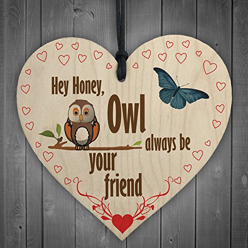 Red Ocean Owl Always Be Your Friend Wooden Hanging Heart Plaque Sign Cute Friendship Gift