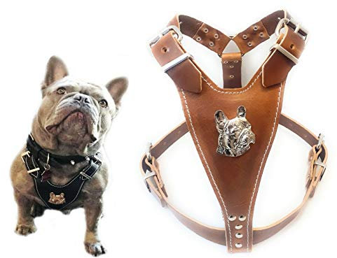Schönes Hundegeschirr aus braunem Leder, Größe M, mit Motiv Französische Bulldogge, nur für ausgewachsene Französische Bulldoggen