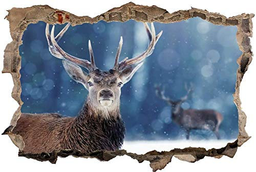 Sticker mural - la nature - Effet 3D avec mur de briques en trompe-l’œil 53x80cm