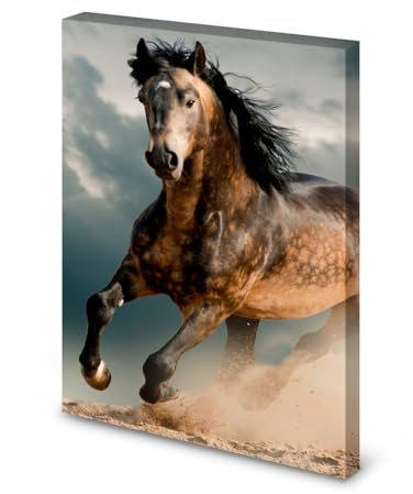 Magnettafel Pinnwand Bild Pferd Schecke Galopp Staub gekantet Größe 80 x 100 cm