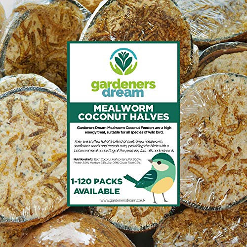 GardenersDream Frisches und leckeres Vogelfutter mit Mehlwurmfüllung in Kokosnusshälften | Frisches Wildvogelfutter für den Garten in verschiedenen Packungsgrößen (5)