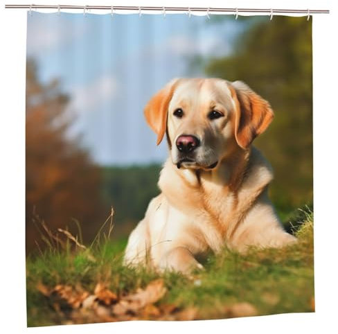 MMSJSBVY Duschvorhang mit süßem Labrador-Motiv, 183 x 183 cm, schimmelresistent, wasserdicht, Sichtschutz und dekorativer Vorhang für Badewannen und Duschabtrennungen
