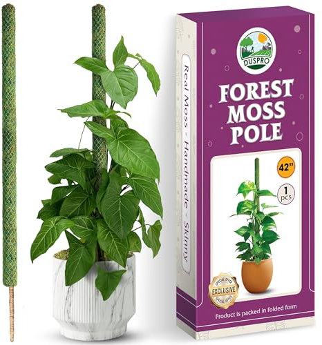 DUSPRO 42 Inch Forest Moss Pole, Bendable Moss Pole for Monstera, Tall Plant Pole, Sphagnum Moss Sticks for Cheese Plant, Handmade Plant Supports for Indoor Plants to Grow Upwards (Large Size 105cm)