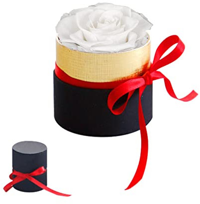 Mini Scatola Regalo Rosa eterna,Rose Stabilizzate Fatte a Mano,Regalo di San Valentino,Regali per la mamma,Rosa Eterna,Fiore Mai Appassito,Rosa Stabilizzata,Ragazze Regali di nozze,Un regalo per lei
