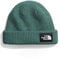 The North Face Salty Lined Unisex Beanie-Mütze, Dark Sage, One Size