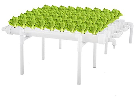 Equipo de cultivo sin suelo de 36 sitios de crecimiento hidropónico Plantador de vegetales de cultivo hidropónico automático con alta eficiencia