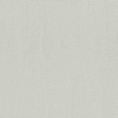 Rasch 411874 Vliestapete, Grau