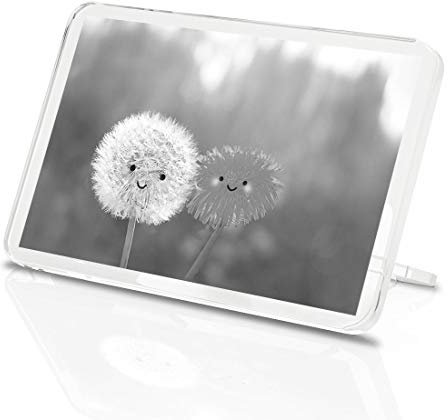 1 x Fridge Magnet - Happy Kawaii Dandelion Flowers #43093