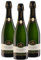 Oberkircher Winzer Riesling Sekt brut - COLLECTION OBERKIRCH Exklusiv - ein hochwertiger und eleganter Riesling Winzersekt - Badischer Sekt, Anbaugebiet Ortenau (3 x 0,75l)