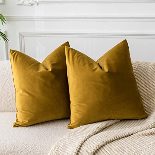 JUSPURBET Senfgelb Samt-Kissenbezüge 40cmx40cm 2er-Set für Wohnzimmer Couch Sofa Schlafzimmer Dekorative Quadratische Feste Weiche Kissenhüllen mit unsichtbarem Reißverschluss