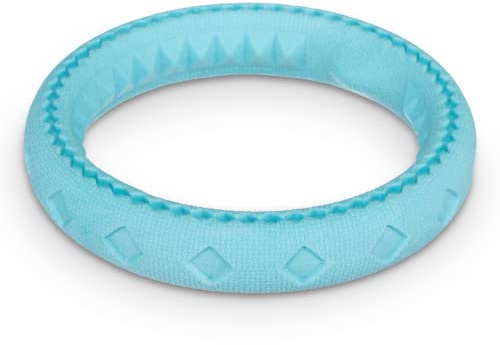 Messy Mutts Totally Pooched Chew n Tug Ring, 6.5 Inch, Teal
