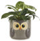 balvi Blumentopf Owl Farbe Grau Origineller Blumentopf in Form Einer Eule Keramik 11,7 x 13,5 x 13,5