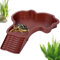 Piscina De Baños De - Bañera De Agua Poca Profunda para Remojar Reptiles Y Baños De Sol Espacioso Cuenca De Hábitat | Diseño Fácil De Limpiar Ideal para Ranas De Tortugas Anfibio