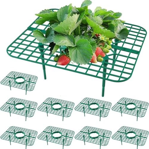 10 Stück Erdbeerstützen Ständer, Erdbeerregal, Balkon Erdbeernetze,Erdbeeren vor Staub und Schnecken schützen,schafft Sicherheitsabstand zum Boden