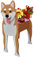 Bamboo's Grocery LoKii Shiba Inu Hund Pflanzgefäß, Niedlicher Hund Pflanztopf Tierform Pflanzenbehälter für Outdoor Indoor und Garten Dekoration Pflanzen