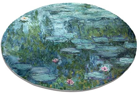 Eslifey 70 cm Luxus Shaggy Soft Area Teppich Monet Malerei Seerosen Indoor Flauschige rutschfeste Teppiche Moderne Wohnkultur für Schlafzimmer, Kinderzimmer, Wohnzimmer Grau