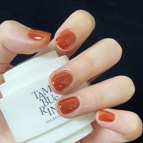 Ceboic 24 Pièces Faux Ongles Court Carré, French Couleur Pure Press on Nail, Ballerine Ongles à Coller Naturel Glossy Acrylique Faux Ongles pour Femmes et Filles DIY Manucure (Orange)