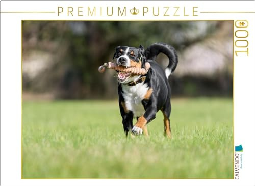 Puzzle · Volle Kraft voraus | Appenzeller Sennenhund beim Spielen · 1000 Teile · Lege-Größe 64 × 48 cm · CALVENDO Puzzle