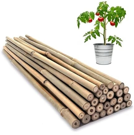 Eyesome Strong Heavy Duty Professional Bamboo Canes for Plant Support - Multiple Lengths 2ft - 3ft Garden Stakes, Durable Large Garden Canes Sturdy & Natural Bamboo Sticks (10 x 2ft / 60cm)