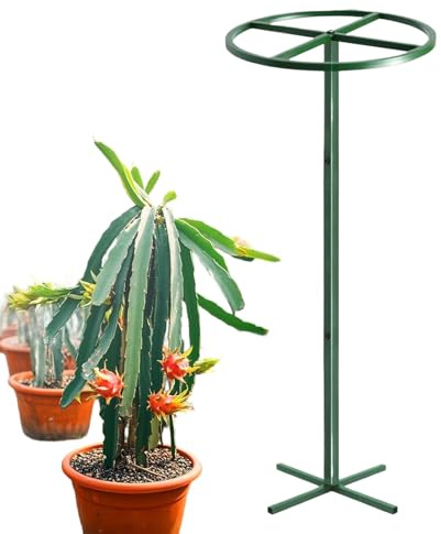 Pflanzen Rankgitter,Vertikale Rankhilfe für Gartenzubehör | Drachenfrucht Rankgerüst für draußen - Für Bäume Kakteen Gurken Rankpflanzen Tomaten Topfpflanzen Außenbereich Garten Bauernhof