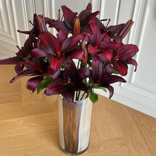 2 pcs lilien zwiebeln blumenzwiebeln mehrjährig winterhart lilien zwiebeln winterhart mehrjährig winterharte pflanzen für garten blumen garten pflanztöpfe schattenpflanzen winterhart