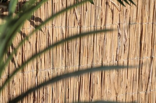 Mugar- Valla de Bambú Natural para Ocultación y Decoración- Privacidad Máxima. Ocultación Total- Bambú en Rollos para Jardín (1,5x5 metros)