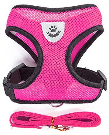 feiling Air Mesh Hundegeschirr Atmungsaktiv Welpengeschirr für Klein Hunde Vest Harness Brustgeschirre Haustier Softgeschirr mit 1,1M Hundeleine Führleine Schleppleine (L, rosa)