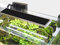 Pantalla Led especial acuarios plantados - Gran requerimiento. (Longitud acuario 48-65cm)